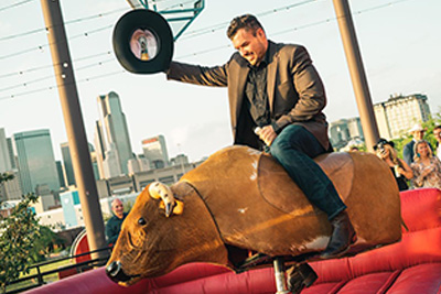 bull