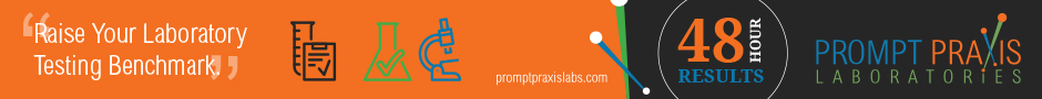 PromptPraxis